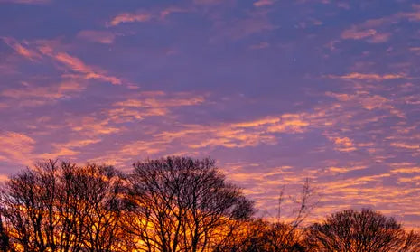 Lighter mornings & brighter evenings at NSF HQ